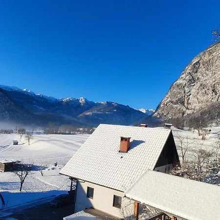 Apartmaji Mojca Appartement Bohinj Buitenkant foto