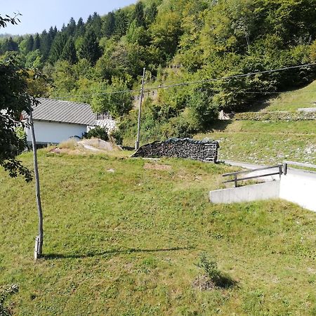 Apartmaji Mojca Appartement Bohinj Kamer foto