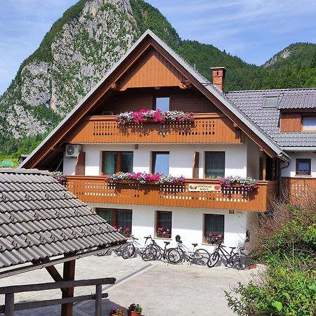 Apartmaji Mojca Bohinj Buitenkant foto