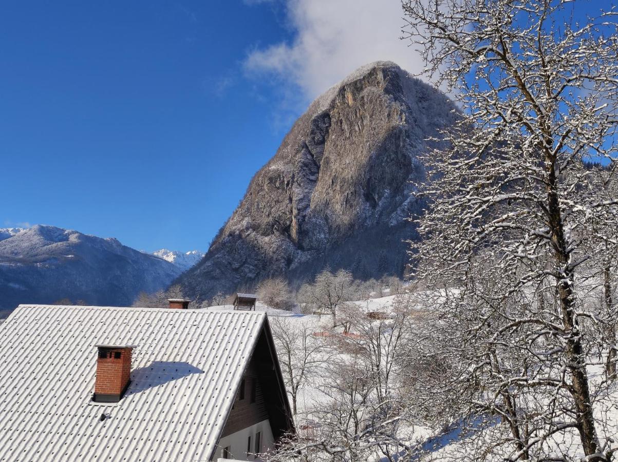 Apartmaji Mojca Appartement Bohinj Buitenkant foto