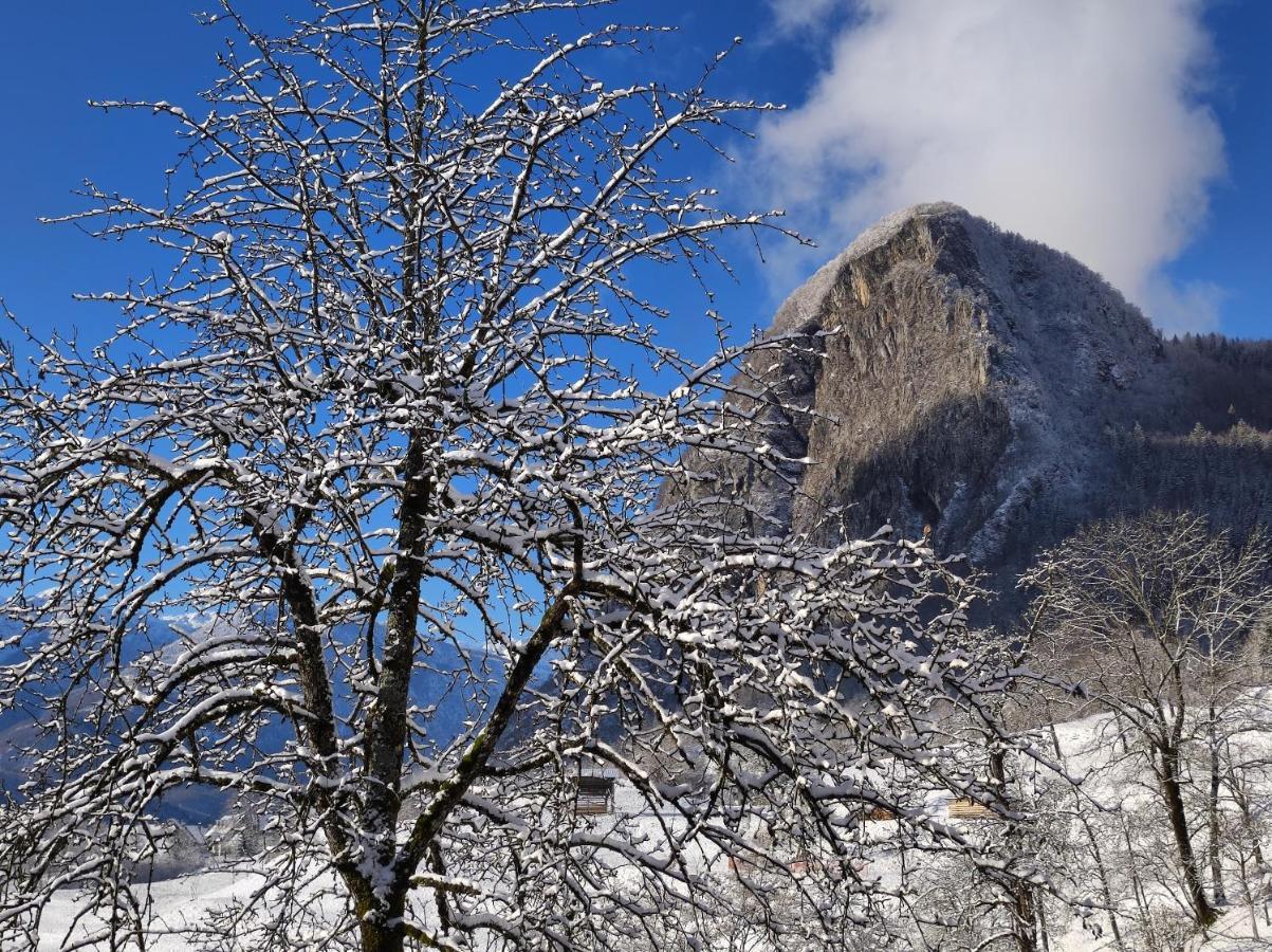 Apartmaji Mojca Appartement Bohinj Buitenkant foto