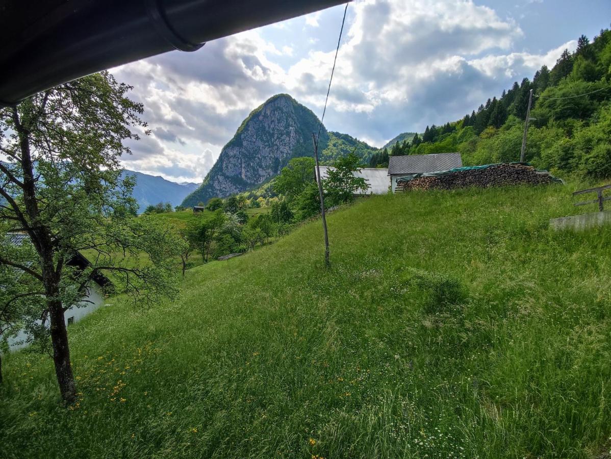 Apartmaji Mojca Appartement Bohinj Buitenkant foto