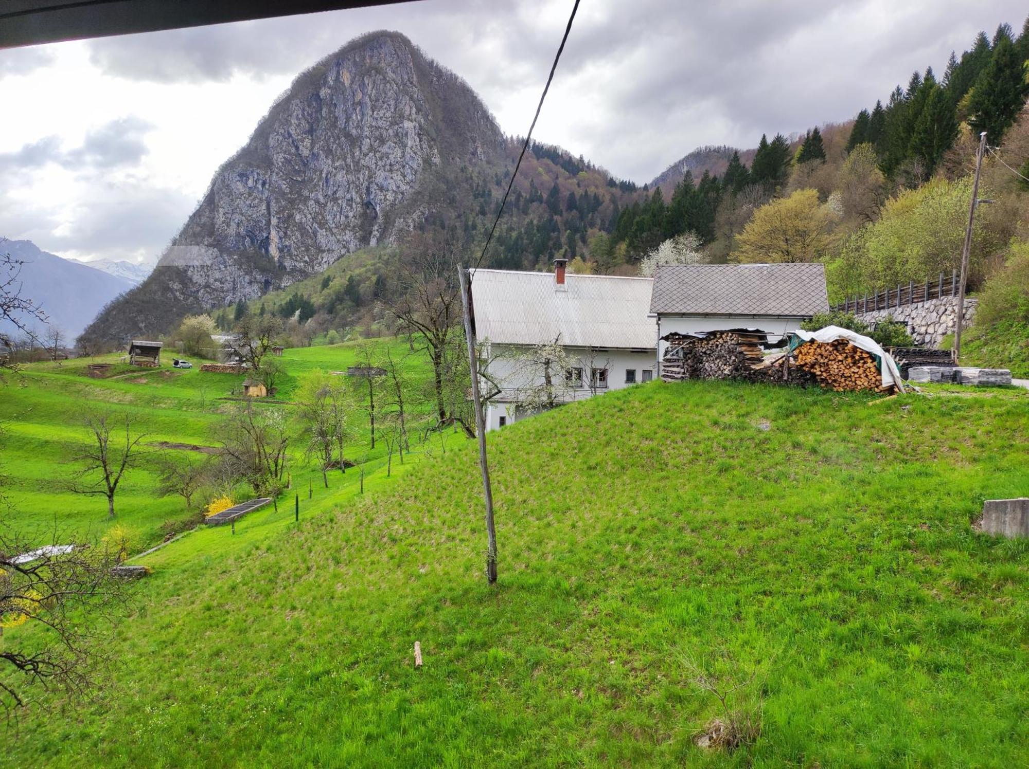 Apartmaji Mojca Bohinj Buitenkant foto